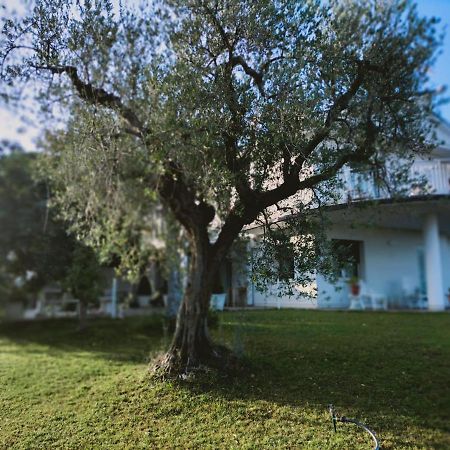 Villa Margherita San Giovanni Teatino Kültér fotó