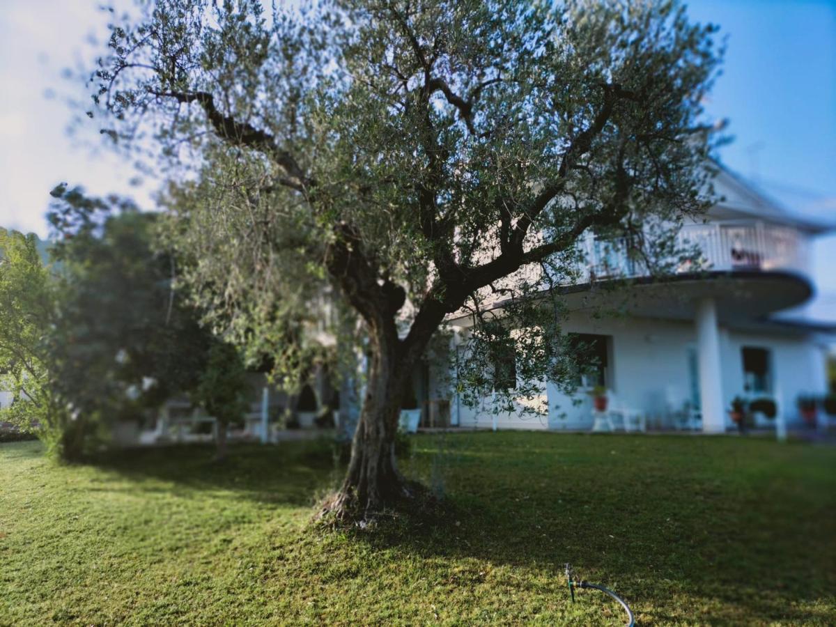 Villa Margherita San Giovanni Teatino Kültér fotó